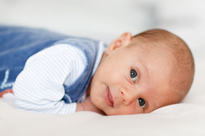 Portrait Of A Baby Boy Free Stock Photo - Public Domain Pictures
